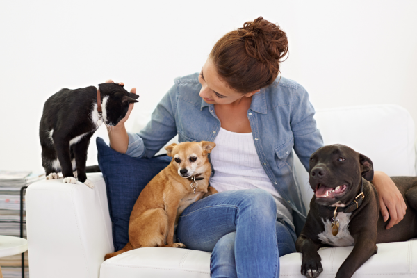 Portez un autre regard sur vos animaux de compagnie